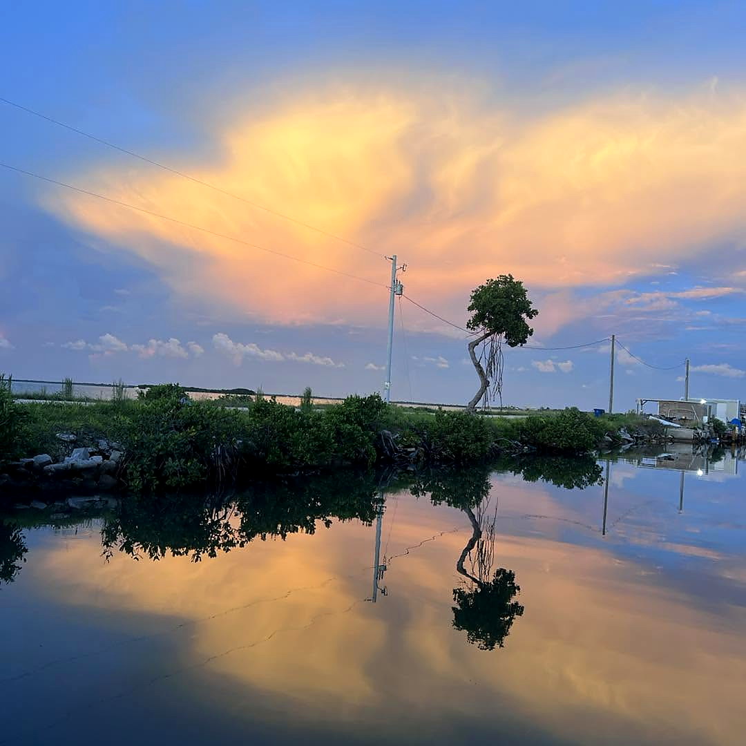 Waterfront view at Tonio's